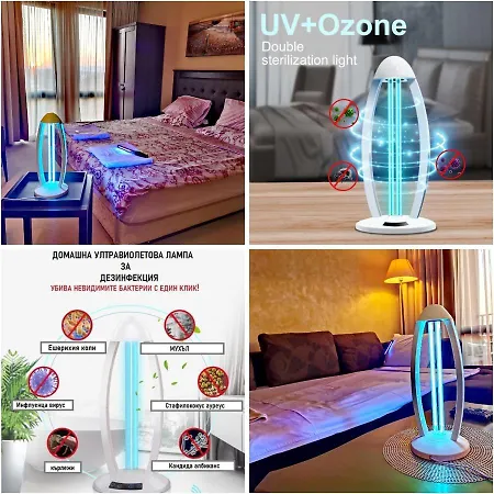 Royal Apartament Sunny Beach